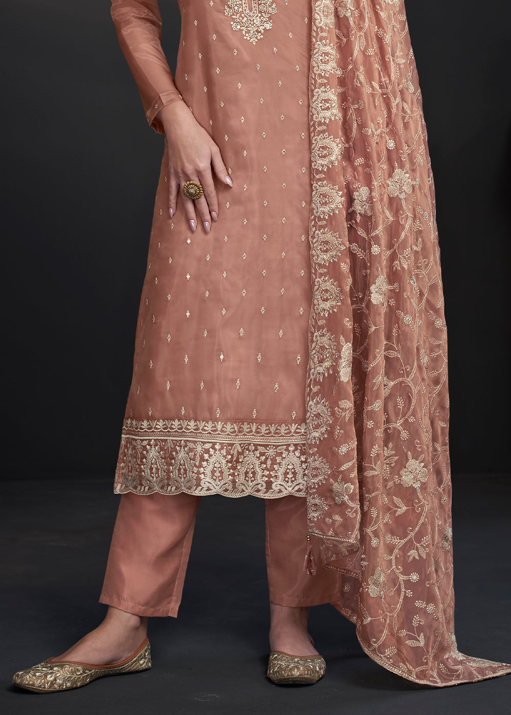 Light Brown Designer Organza Salwar Suit with Embroidery Work