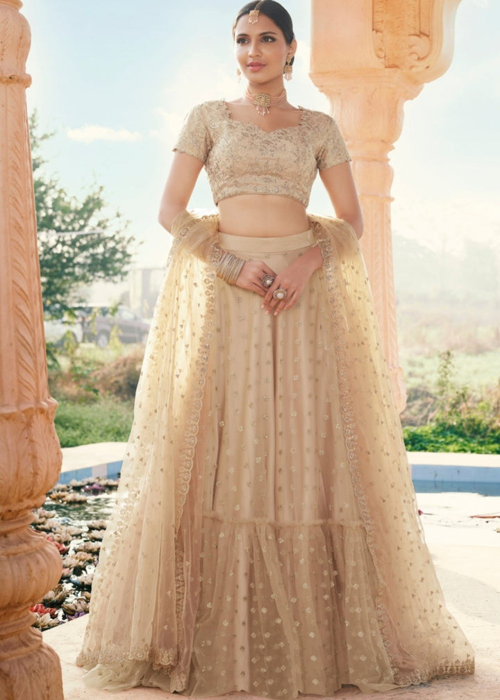 Beige Brown Net Lehenga with Zari work Paired with Satin Embroidered Blouse