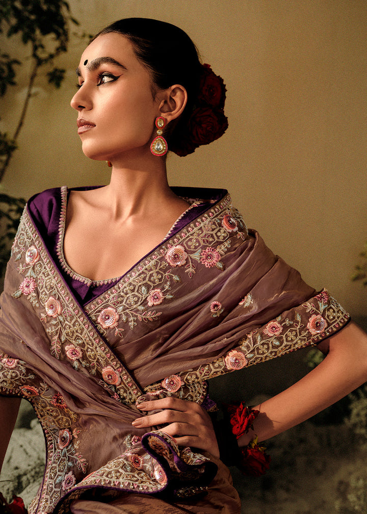Tortilla Brown Dola Silk Saree with Hand Embroidery work