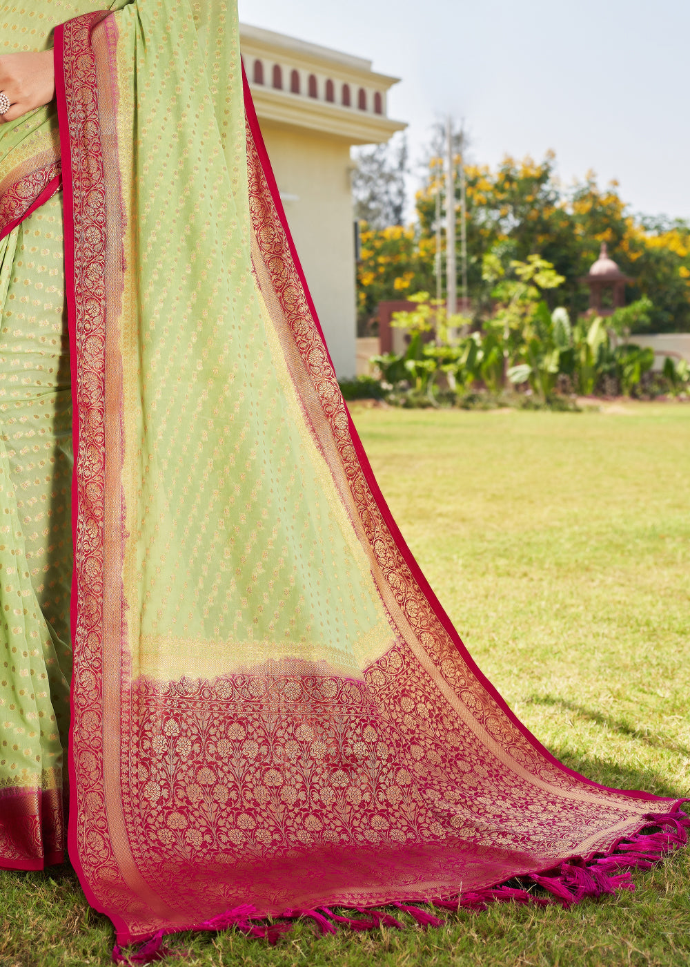 Light Green Zari Woven Georgette Saree with Contrast Blouse & Pallu