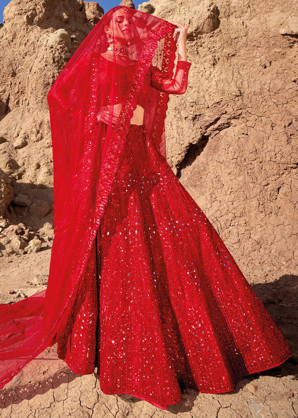 Crimson Red Net lehenga Choli with Mirror, Zarkan & Cutwork